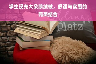 学生现充大朵鹅绒被，舒适与实惠的完美结合