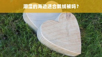 潮湿的海边适合鹅绒被吗？