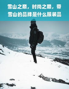 雪山之巅，时尚之巅，带雪山的品牌是什么服装品牌？