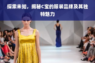 探索未知，揭秘C宝的服装品牌及其独特魅力