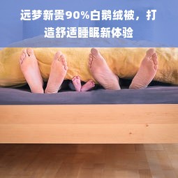 远梦新贵90%白鹅绒被，打造舒适睡眠新体验