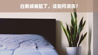 白鹅绒被脏了，该如何清洗？