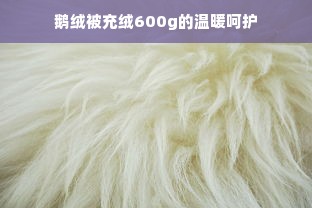 鹅绒被充绒600g的温暖呵护