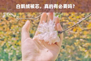 白鹅绒被芯，真的有必要吗？