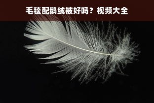 毛毯配鹅绒被好吗？视频大全