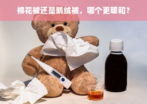 棉花被还是鹅绒被，哪个更暖和？