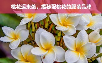 桃花运来袭，揭秘配桃花的服装品牌