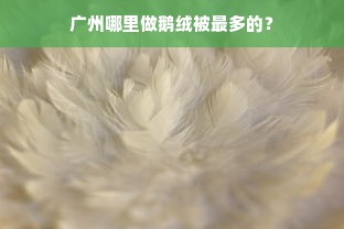 星光熠熠，歌声飘扬，探索参加唱歌比赛的服装品牌