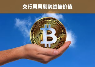 交行周周刷鹅绒被价值