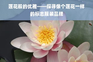 莲花般的优雅——探寻像个莲花一样的标志服装品牌