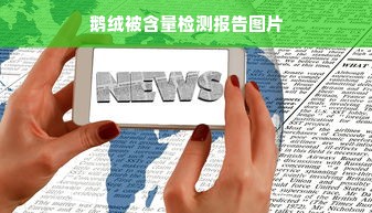 鹅绒被含量检测报告图片