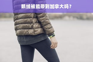 鹅绒被能带到加拿大吗？