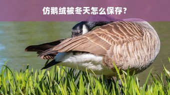 仿鹅绒被冬天怎么保存？