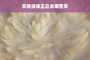 买鹅绒被正品去哪里买