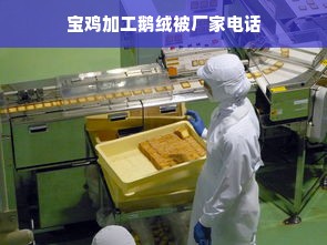 宝鸡加工鹅绒被厂家电话