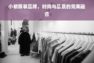 小敏服装品牌，时尚与品质的完美融合