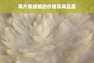 两斤鹅绒被的价格及其品质