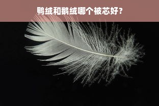 鸭绒和鹅绒哪个被芯好？