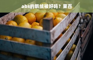 abs的鹅绒被好吗？果百