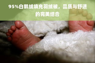 95%白鹅绒填充羽绒被，品质与舒适的完美结合