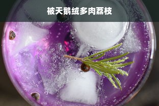 被天鹅绒多肉荔枝