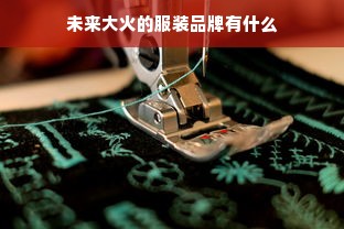 未来大火的服装品牌有什么