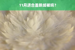 11月适合盖鹅绒被吗？