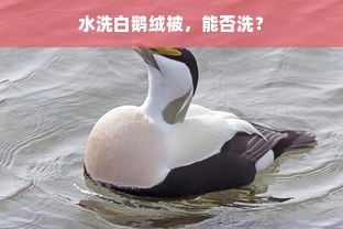 水洗白鹅绒被，能否洗？