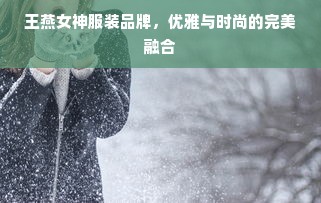 王燕女神服装品牌，优雅与时尚的完美融合