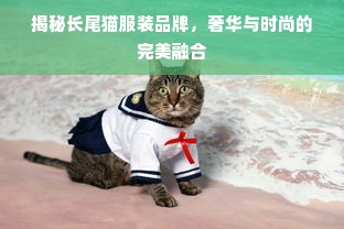 揭秘长尾猫服装品牌，奢华与时尚的完美融合