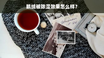 鹅绒被除湿效果怎么样？