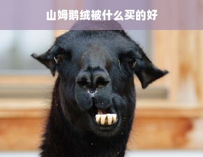 山姆鹅绒被什么买的好