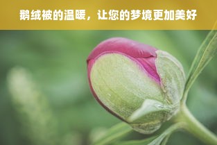 鹅绒被的温暖，让您的梦境更加美好