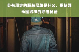 苏有朋穿的服装品牌是什么，揭秘娱乐圈男神的穿搭秘籍