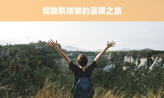 坭陂鹅绒被的温暖之旅