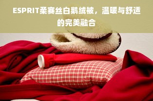 ESPRIT柔赛丝白鹅绒被，温暖与舒适的完美融合