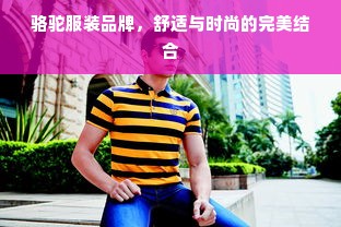 骆驼服装品牌，舒适与时尚的完美结合