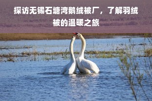 探访无锡石塘湾鹅绒被厂，了解羽绒被的温暖之旅