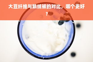 杭州两斤鹅绒被够过冬吗？