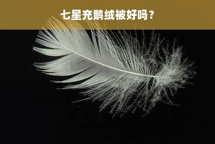 七星充鹅绒被好吗？