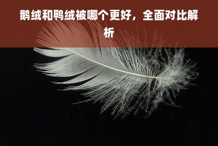 鹅绒和鸭绒被哪个更好，全面对比解析