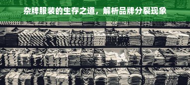 杂牌服装的生存之道，解析品牌分裂现象