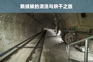 鹅绒被的清洗与烘干之旅