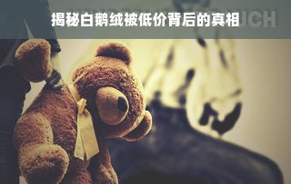 揭秘白鹅绒被低价背后的真相