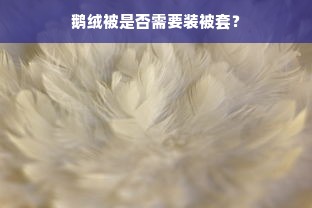 鹅绒被是否需要装被套？