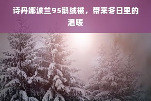 诗丹娜波兰95鹅绒被，带来冬日里的温暖