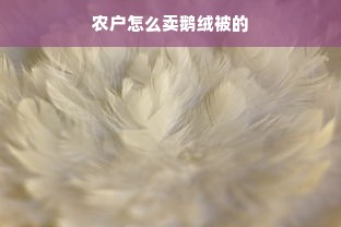 农户怎么卖鹅绒被的