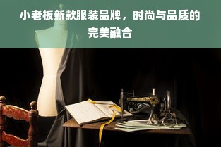 小老板新款服装品牌，时尚与品质的完美融合