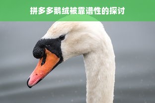 拼多多鹅绒被靠谱性的探讨