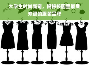 大学生时尚新宠，揭秘校园里最受欢迎的服装品牌